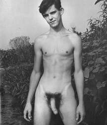 Gay Twinks Porn - mixed vintage classic golden 6214de4417129.jpg