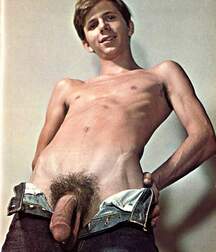Gay Twinks Porn - mixed vintage classic golden 6214de52c4412.jpg