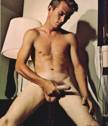 Gay Twinks Porn - mixed vintage classic golden 6214deaf54dd2.jpg