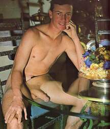 Gay Twinks Porn - mixed vintage classic golden 6214deb52ef82.jpg