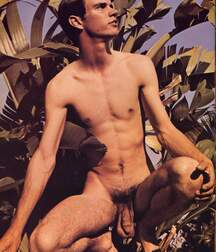 Gay Twinks Porn - mixed vintage classic golden 6214def371ca3.jpg