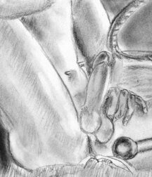 Gay Twinks Porn - sketches drawn All large format images 625b83f246d17.jpg