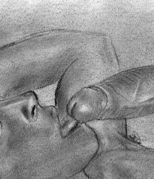 Gay Twinks Porn - sketches drawn All large format images 625b848549ab4.jpg