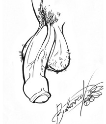 Gay Twinks Porn - yaoi, art, cartoons, drawings different 6265c81b02220.jpg