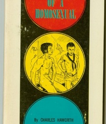Gay Twinks Porn - vintage art - covers, pulp fiction design  626de26e44fcc.jpg