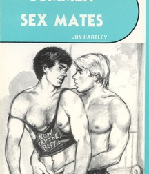 Gay Twinks Porn - vintage art - covers, pulp fiction design  626de29b4c4f4.jpg