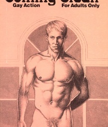 Gay Twinks Porn - vintage art - covers, pulp fiction design  626de2af919af.jpg