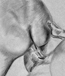 Gay Twinks Porn - twink drawings crafted art 629298de60f17.jpg