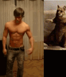 Cats and men