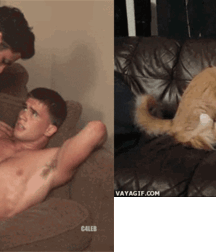•  Hand-knitted  • 622189b958f17.gif