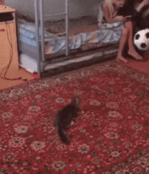 •  Hand-knitted  • 62218a145bedb.gif
