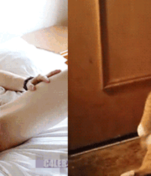 •  Hand-knitted  • 622b1581399c9.gif