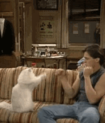 •  Gato e Uomo  • 623140304b5d1.gif