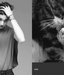•  Gato e Uomo  • 6231404b38095.gif