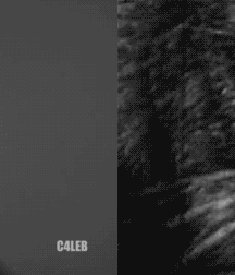 •  Gato e Uomo  • 623140542e851.gif