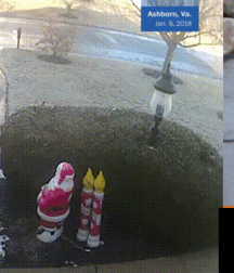 •  Gato e Uomo  • 6231409f3193f.gif