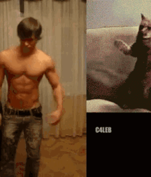 •  Gato e Uomo  • 623140a58b860.gif