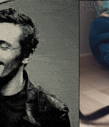 •  Gato e Uomo  • 623140ced28ca.gif