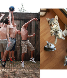 •  Gato e Uomo  • 6231414c841ff.jpg