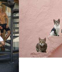 •  Gato e Uomo  • 6231415026c1a.jpg