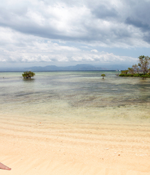 Sea Gay Boys Wallpaper 5f854cc683ac9.jpg