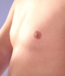 Gay Boys Chest Collection Porn 5fb58d12a4e22.jpg
