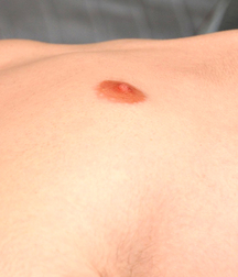 Gay Boys Chest Collection Porn 5fb58d16b8b50.jpg