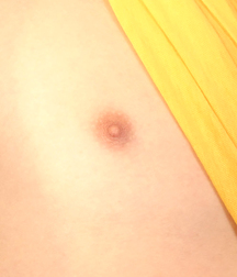 Gay Boys Chest Collection Porn 5fb58d2199bdd.jpg