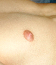 Gay Boys Chest Collection Porn 5fb58d284fdfa.jpg