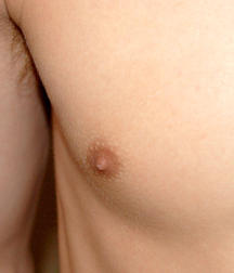 Gay Boys Chest Collection Porn 5fb58d2a4d2b0.jpg