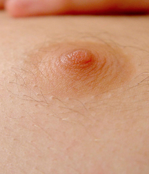 Gay Boys Chest Collection Porn 5fb58d33b5ba6.jpg