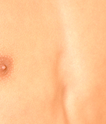Gay Boys Chest Collection Porn 5fb58d362897d.jpg