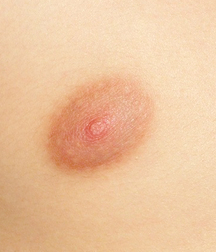 Gay Boys Chest Collection Porn 5fb58d3f6ecac.jpg