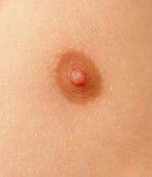 Gay Boys Chest Collection Porn 5fb58d4483d51.jpg