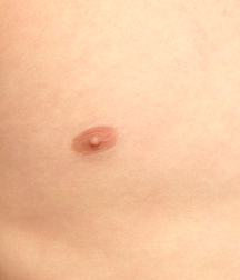 Gay Boys Chest Collection Porn 5fb58d46d75e4.jpg