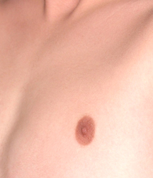 Gay Boys Chest Collection Porn 5fb58d54a242f.jpg