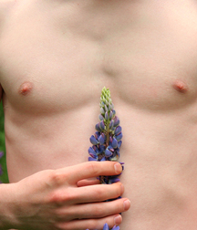 Gay Boys Chest Collection Porn