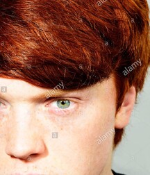 NICE NEW FACES FROM PROFILES GAY TUBE COLLECTION 5fa1a34f4618f.jpg