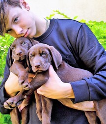 NICE & CUTE BOYS FACES GAY TUBE - LUKAS COLLECTION 3 5fed374e802aa.jpg