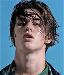 GAY TUBE NICE & CUTE BOYS FACES LUKAS COLLECTION 6016d8b3c8af8.jpg