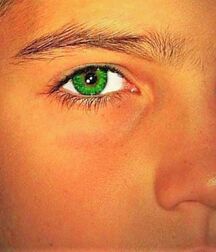 NICE & CAUTE BOYS FACES & BODY LUKAS COLLECTION 60204f883f908.jpg