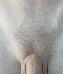 PORN - CUTE BOYS & THEIR DICK'S - LUKAS COLLECTION 2 6058123f8e657.png