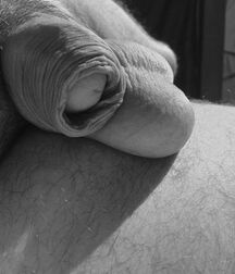 PORN - CUTE BOYS & THEIR DICK'S - LUKAS COLLECTION NEW 3 605817c57e6fa.jpg