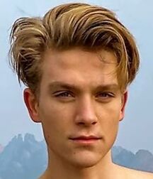 TWINK TUBE LUKAS COLLECTION  - NICE & CUTE BOYS FACES 611ab177a344f.jpg