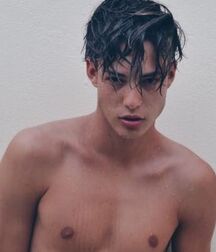 LUKAS COLLECTION TWINK TUBE - NICE & CUTE BOYS FACES 61312a43523cb.jpg