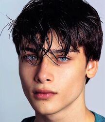 LUKAS COLLECTION TWINK TUBE - NICE & CUTE BOYS FACES 6144e86056920.jpg