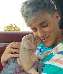 LUKAS COLLECTION - NICE & CUTE BOYS FACES TWINK TUBE  6159df5c06d34.jpg