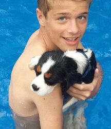 LUKAS COLLECTION - NICE & CUTE BOYS FACES TWINK TUBE  6159e01b49ab8.jpg