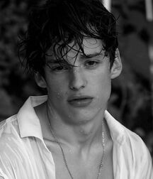 LUKAS COLLECTION TWINK TUBE NICE & CUTE BOYS FACES 619d5a6d1f5ee.jpg