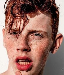 LUKAS COLLECTION COUNTRY - NICE & CUTE BOYS FACES TWINK TUBE 61ab0efab9f18.jpg